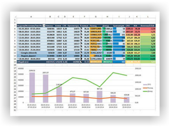 xls report 2