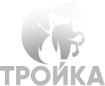 troika grey