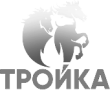 troika grey