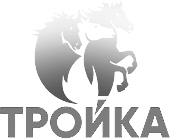 troika grey