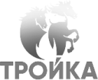 troika grey
