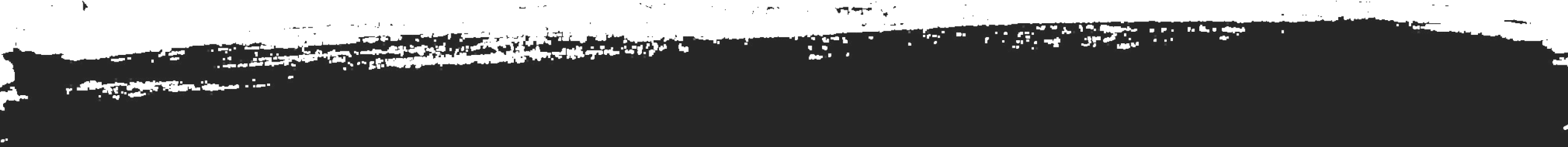 brush slitter 3